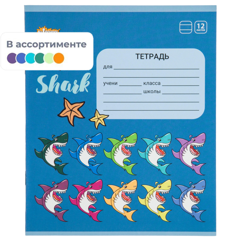   5 12 1School Shark , , -,   